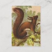 Vintages Eichhörnchen Visitenkarte (Rückseite)