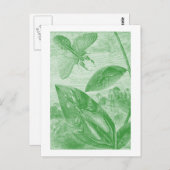 Vintages Entomologie-Grün Katydid Fliegen-Blatt Postkarte (Vorne/Hinten)
