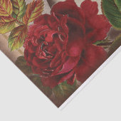 Vintages Ephemera Collage Shabby Chic Seidenpapier (Ausschnitt)