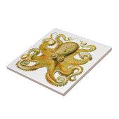 Vintages Ernst Haeckel Octopus in Gelb Fliese (Seite)
