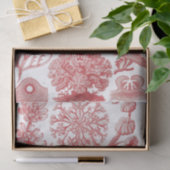 Vintages Ernst Haeckel Seetang-Poster Seidenpapier (Geschenk)