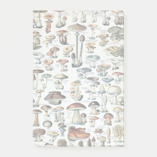 Vintages essbares Pilz-Diagramm Post-it Klebezettel (Vorderseite)