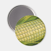 Vintages Essen, gesunde Gemüse, Mais auf dem Cob Magnet (Vorderseite/Rückseite)