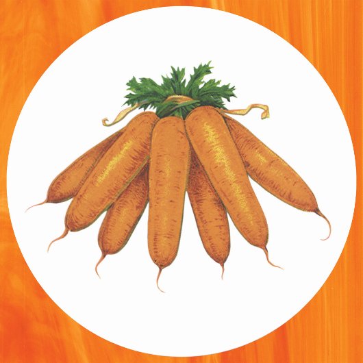 Vintages Essen, Haufen Bio Karotten Gemüse Runder Aufkleber