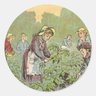 Vintages Etikett Art, Wells Mai Appillen Runder Aufkleber