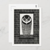 Vintages Eule im Fenster Postkarte (Vorne/Hinten)