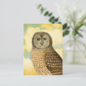 Vintages Eule mit Wolken Postkarte (Stehend Vorderseite)