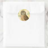 Vintages Eule mit Wolken Runder Aufkleber (Tasche)