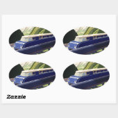 Vintages Europa Bahnreisen Ovaler Aufkleber (Blatt)