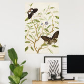 Vintages Exotic Butterfells Poster (Heimbüro)