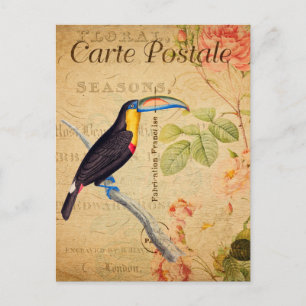 Vintages Exotic Tropical Toucan Bird Floral Postkarte