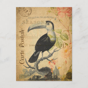Vintages Exotic Tropical Toucan Bird Floral Postkarte