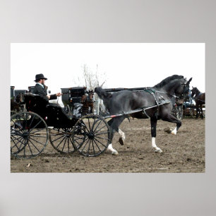 Vintages Fahrpferd Poster