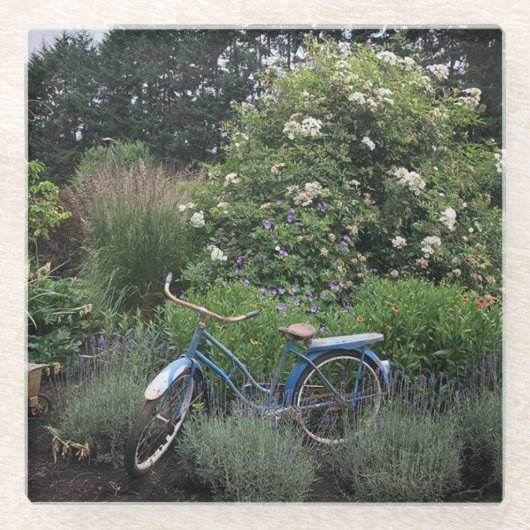 Vintages Fahrrad im Garten Glasuntersetzer (Vorderseite)