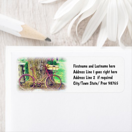 Vintages Fahrrad mit Blume (Insitu)