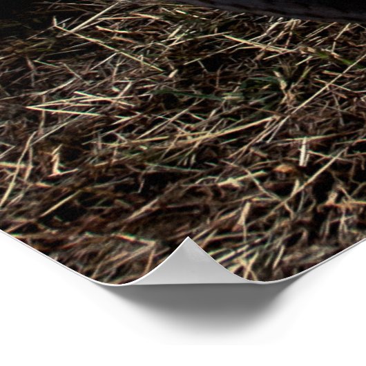 Vintages Fahrrad Poster (Ecke)