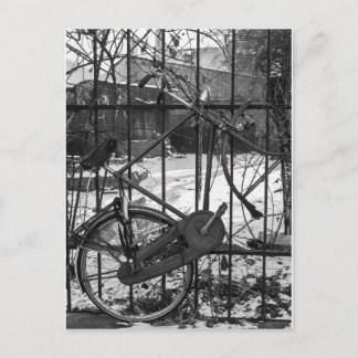 Vintages Fahrrad Postkarte