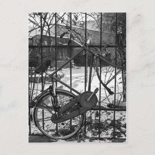 Vintages Fahrrad Postkarte (Vorderseite)