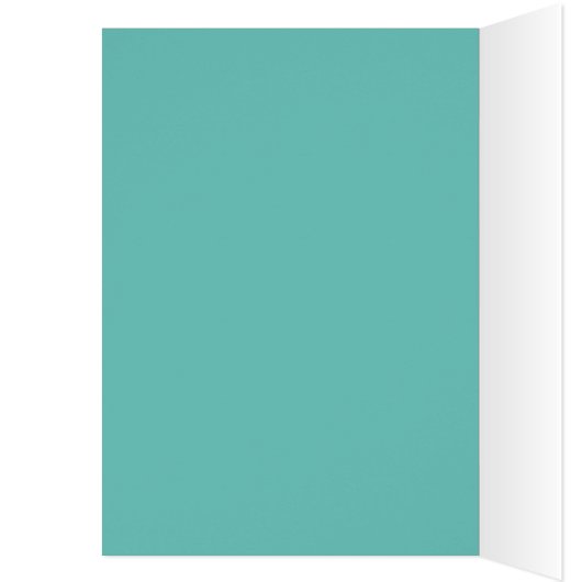 Vintages Fahrradmädchen in soliden aquamarinen (Innen (Links))