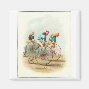 Vintages Fahrradposter, Pennyfarthing Rooster Magnet