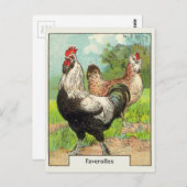 Vintages Faverolles Hühnchen Postkarte (Vorne/Hinten)