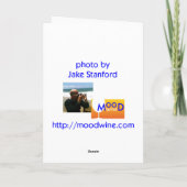 Vintages Feiertags-Verzierungs-Ball-Rosa Feiertagskarte (Rückseite)