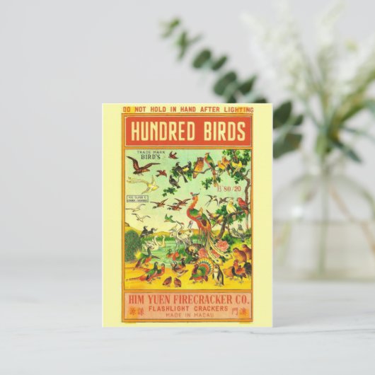 Vintages Firecracker-Paket Postkarte (Stehend Vorderseite)