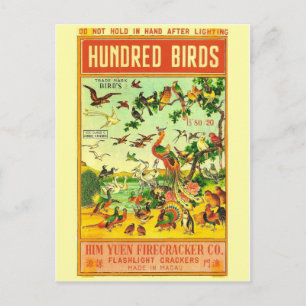 Vintages Firecracker-Paket Postkarte