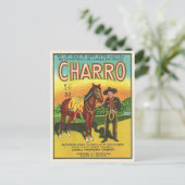 Vintages Firecracker-Paket Postkarte (Stehend Vorderseite)