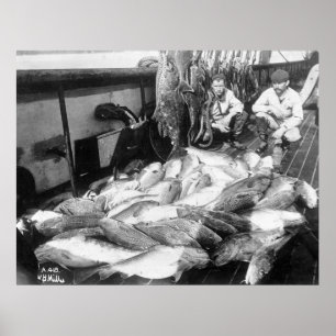 Vintages Fischen, frühe 1900s Poster