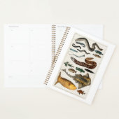 Vintages Fischmeer, Strand, blau, Wasser Planer (Anzeige)