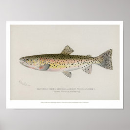 Vintages Fish Poster - Rocky Mountain Foreut