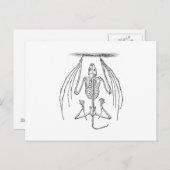 Vintages Flechtskelett - Fledermäuse und Halloween Postkarte (Vorne/Hinten)
