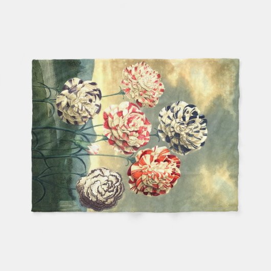 Vintages Fleece Blanket (Vorderseite (Horizontal))