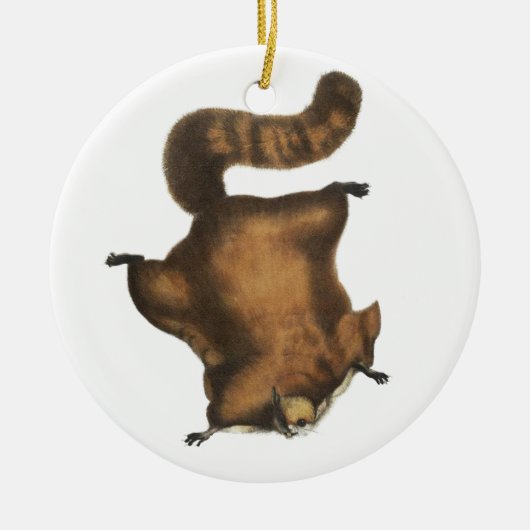 Vintages Fliegen-Eichhörnchen Keramikornament (Vorne)