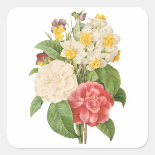 Vintages Floral Camelia Daffodil Blume von Redoute Quadratischer Aufkleber