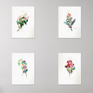 Vintages florales Shabby Chic Flore D Amerique Bilderwand Sets