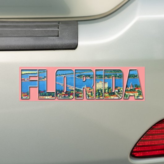 Vintages Florida Autoaufkleber (Auf Auto)