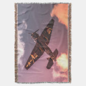 Vintages Flugzeug Schöner Himmel Decke (Vorderseite Vertikal)