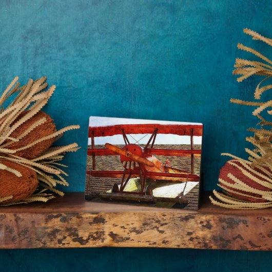 Vintages Flugzeug von Shirley Taylor Fotoplatte (Seite)