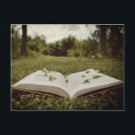 Vintages Foto | Buch und Wildblumen Naturlandschaf Postkarte<br><div class="desc">Diese stilvolle Postkarte zeigt ein Vintages Foto eines Buches und einer Wildblumen,  das im Gras liegt...  mit Bäumen und anderem Blattwerk im Hintergrund. Ideal für Buchliebhaber,  Naturliebhaber oder Vintag / Hütte-Liebhaber.</div>