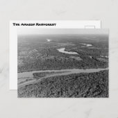 Vintages Foto des Regenwaldes Amazonas Postkarte (Vorne/Hinten)