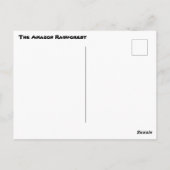 Vintages Foto des Regenwaldes Amazonas Postkarte (Rückseite)