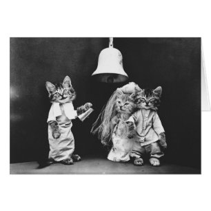 Vintages Foto - eine Kitty-Katzen-Hochzeit,