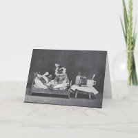 Vintages Foto - Gute Katzen,
