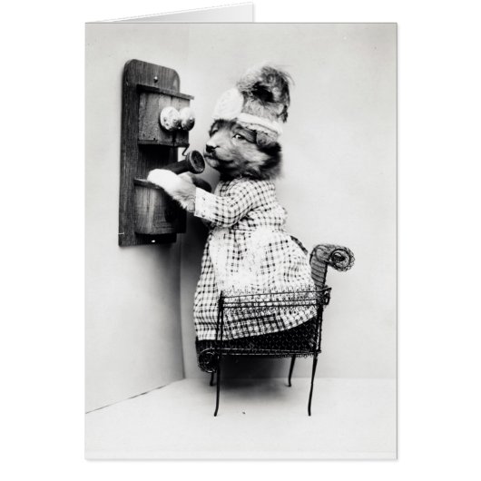 Vintages Foto - Hund am Telefon, (Vorne)