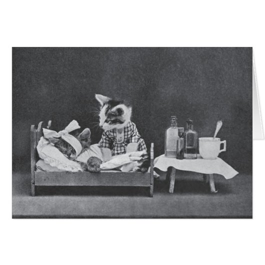 Vintages Foto - immer dem Hund die Schuld geben, (Vorderseite (Horizontal))