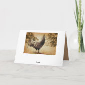 Vintages Foto Karte (Rückseite)