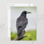 Vintages Foto Postkarte (Vorne/Hinten)