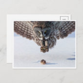 Vintages Foto Postkarte (Vorne/Hinten)